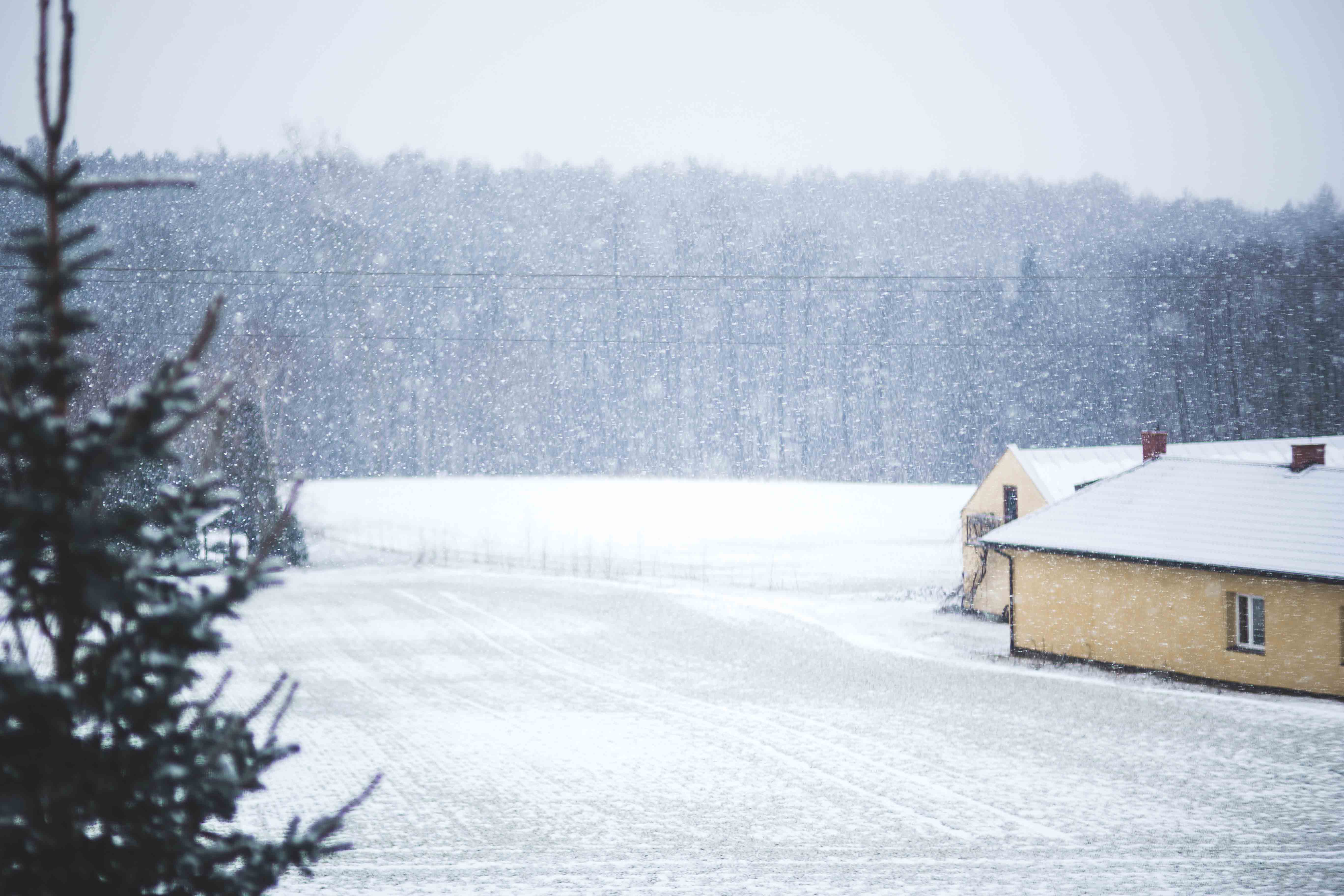 Severe Winter Storms Claim Lives Across Japan After Prolonged Snowfall